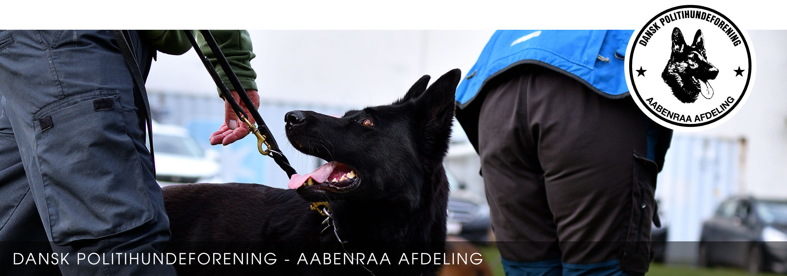 Topbanner